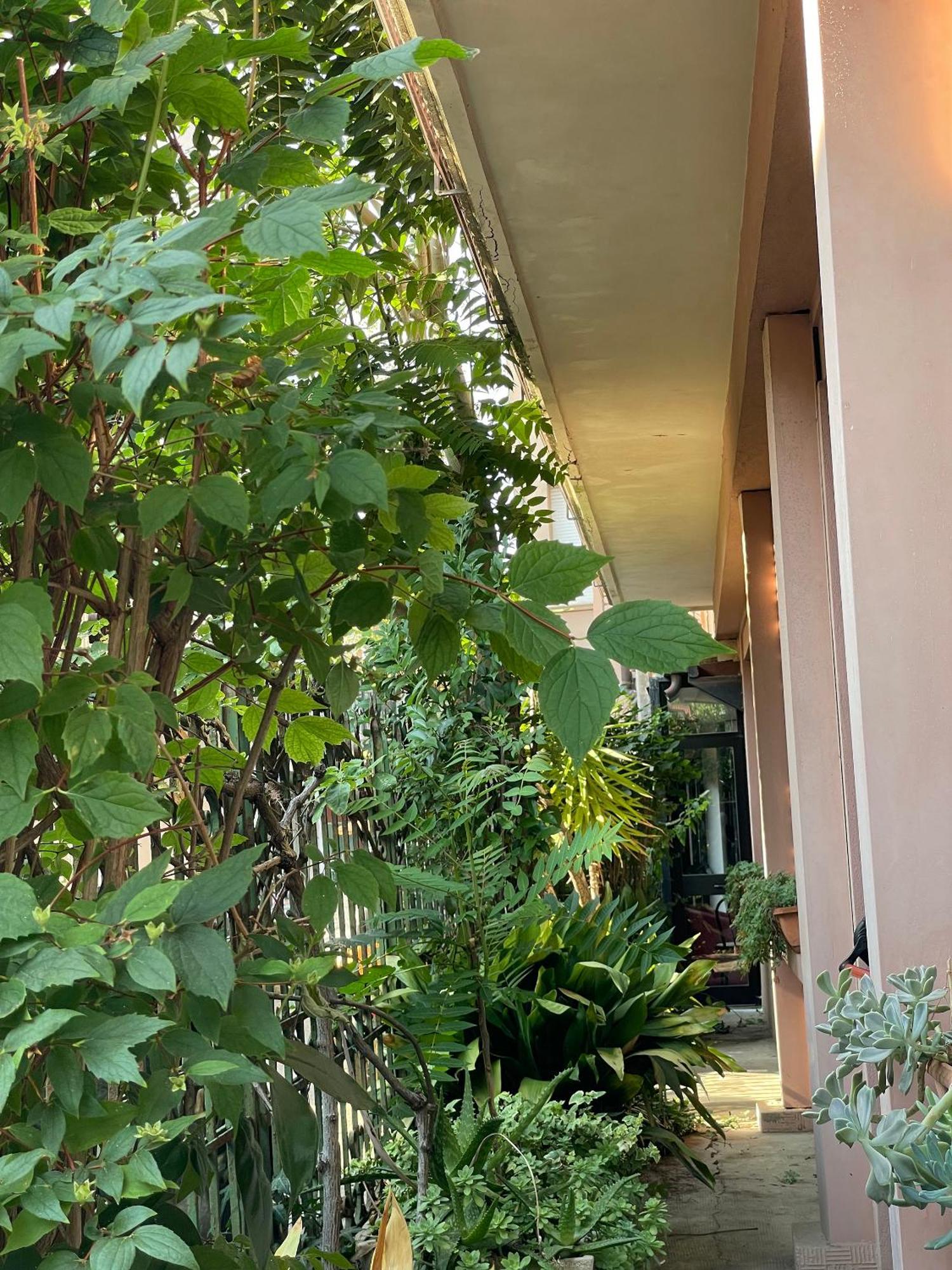 Hotel Berlino Cattolica Kültér fotó